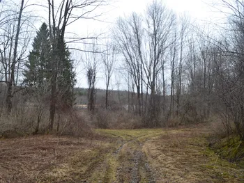 Property at 1377 Vrolyk Road, Georgetown, NY 13334