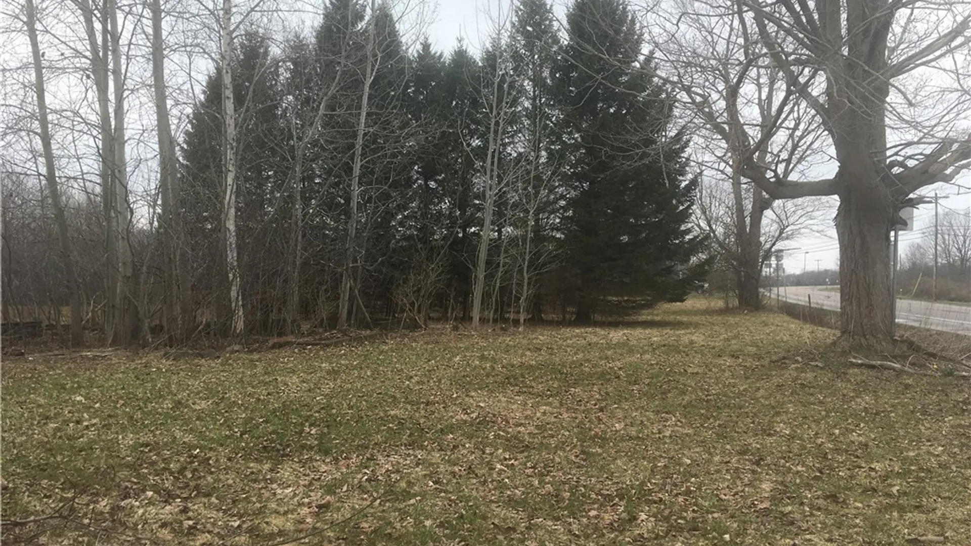 Property at Rome Road, Richland, NY 13142 11