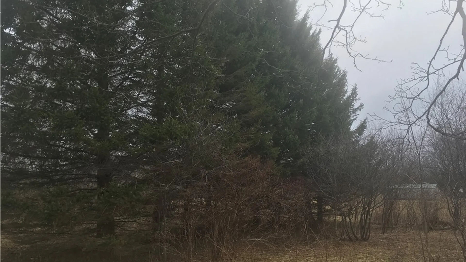 Property at Rome Road, Richland, NY 13142 12