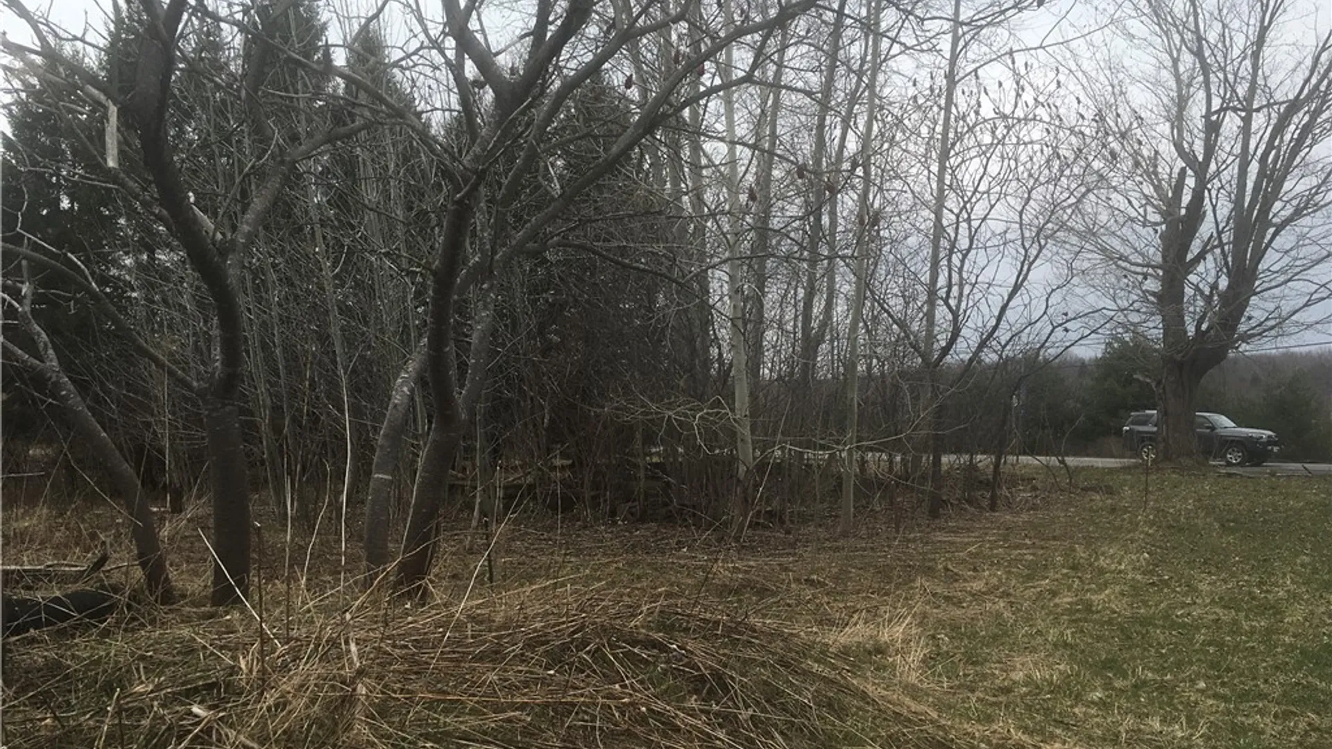 Property at Rome Road, Richland, NY 13142 13