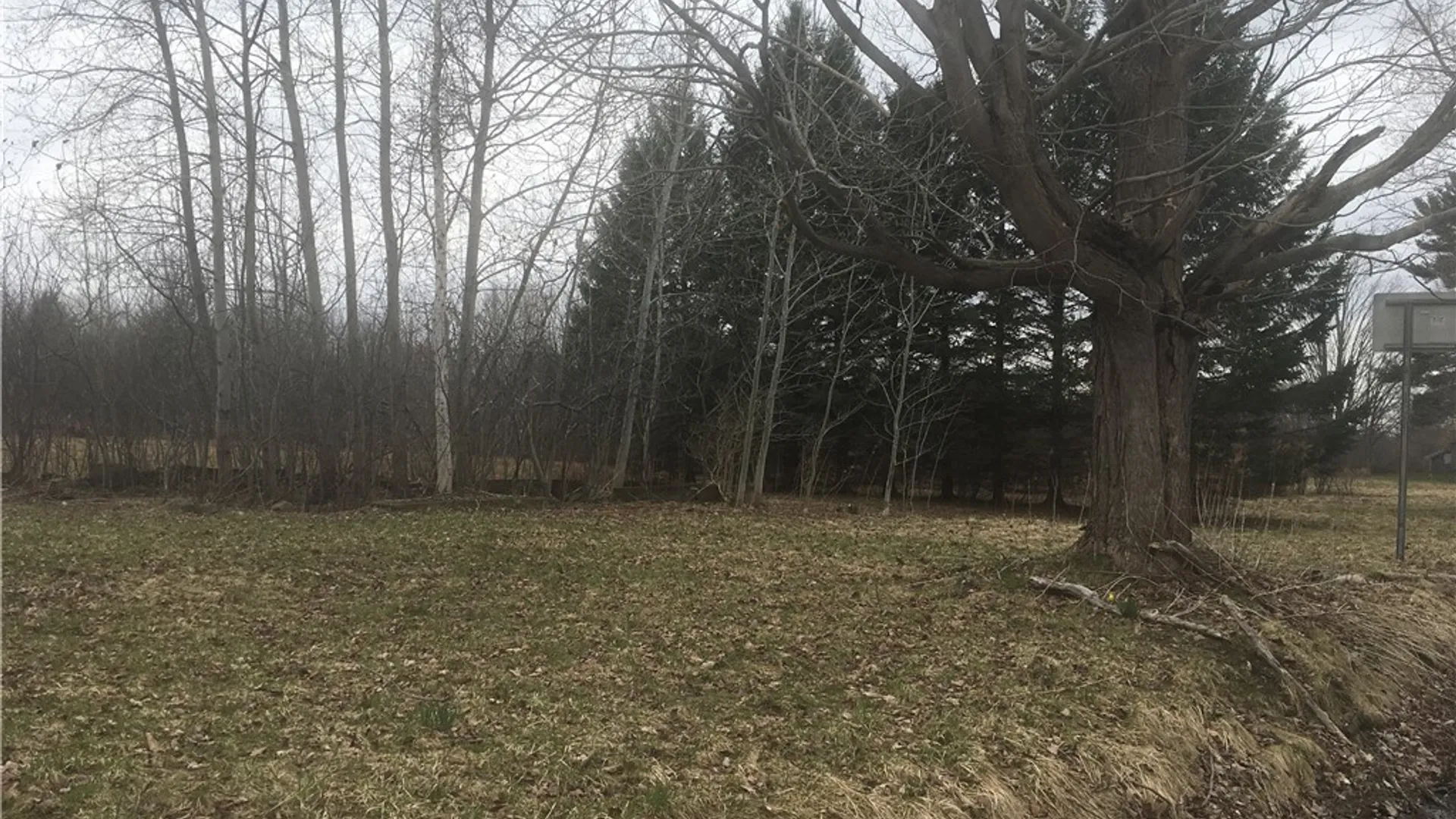 Property at Rome Road, Richland, NY 13142 2