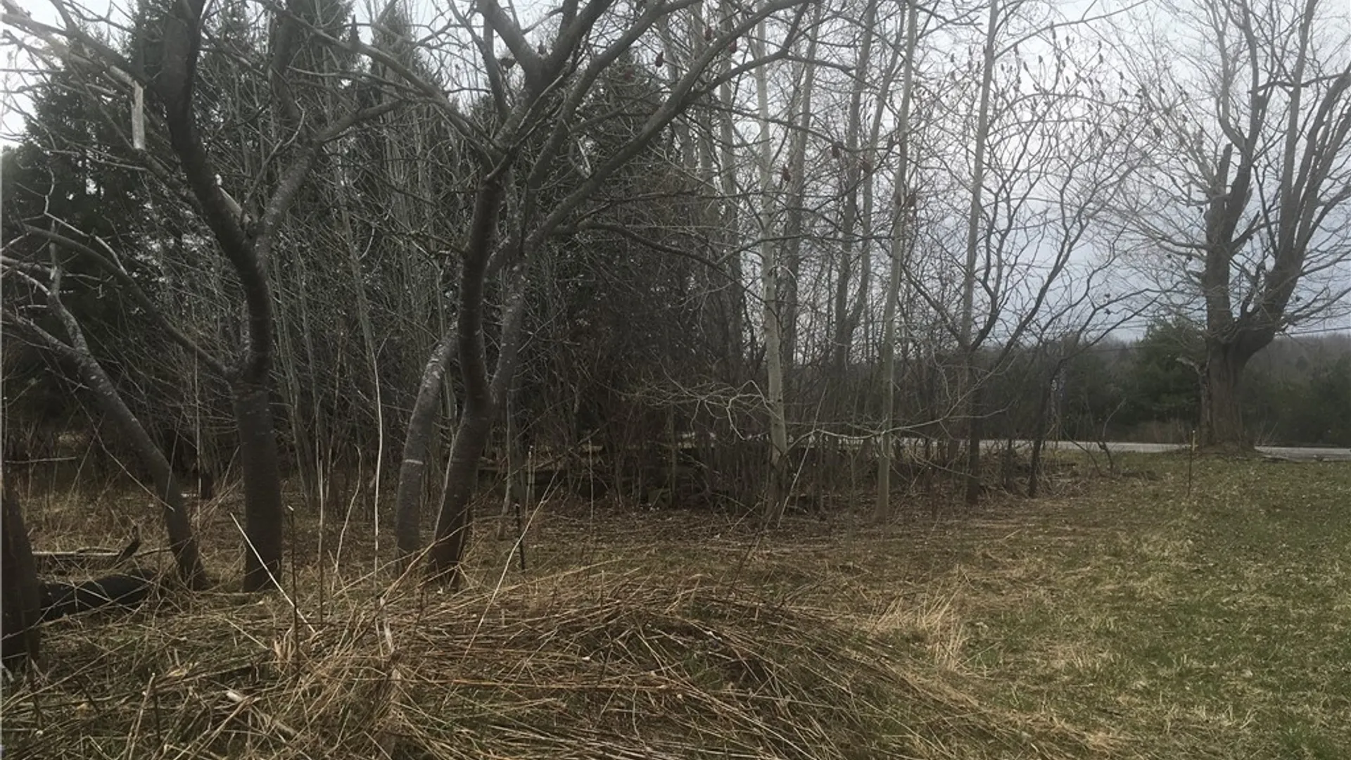 Property at Rome Road, Richland, NY 13142 3