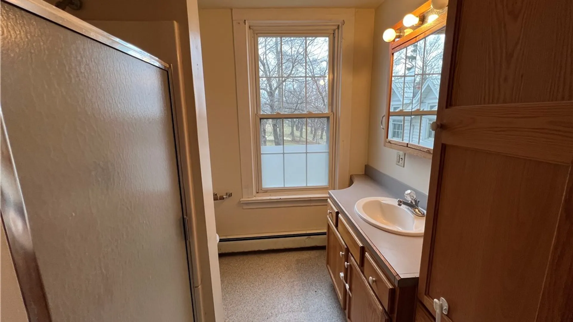 Property at 245 Main Street, Ledyard, NY 13026 39