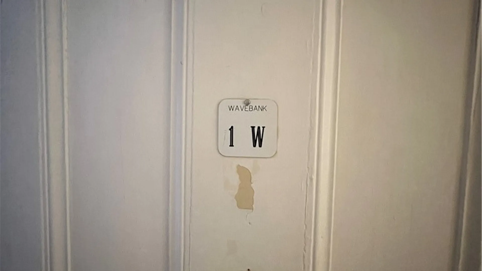 Property at 245 Main Street, Ledyard, NY 13026 43