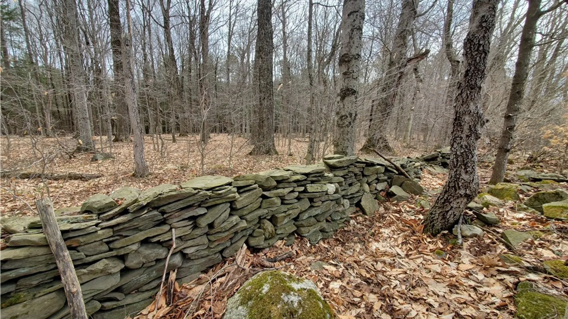 Property at 0 Perkins Road, Hartwick, NY 13348 11