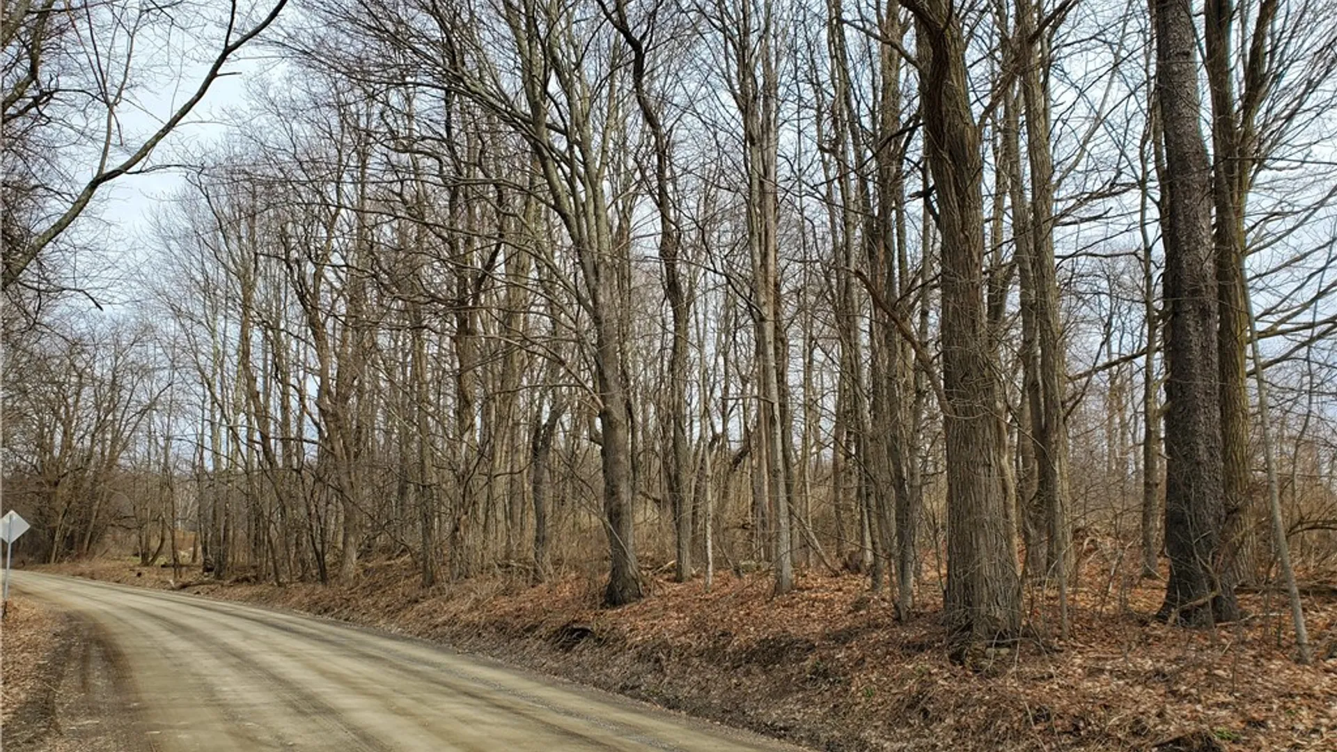 Property at 0 Perkins Road, Hartwick, NY 13348 13