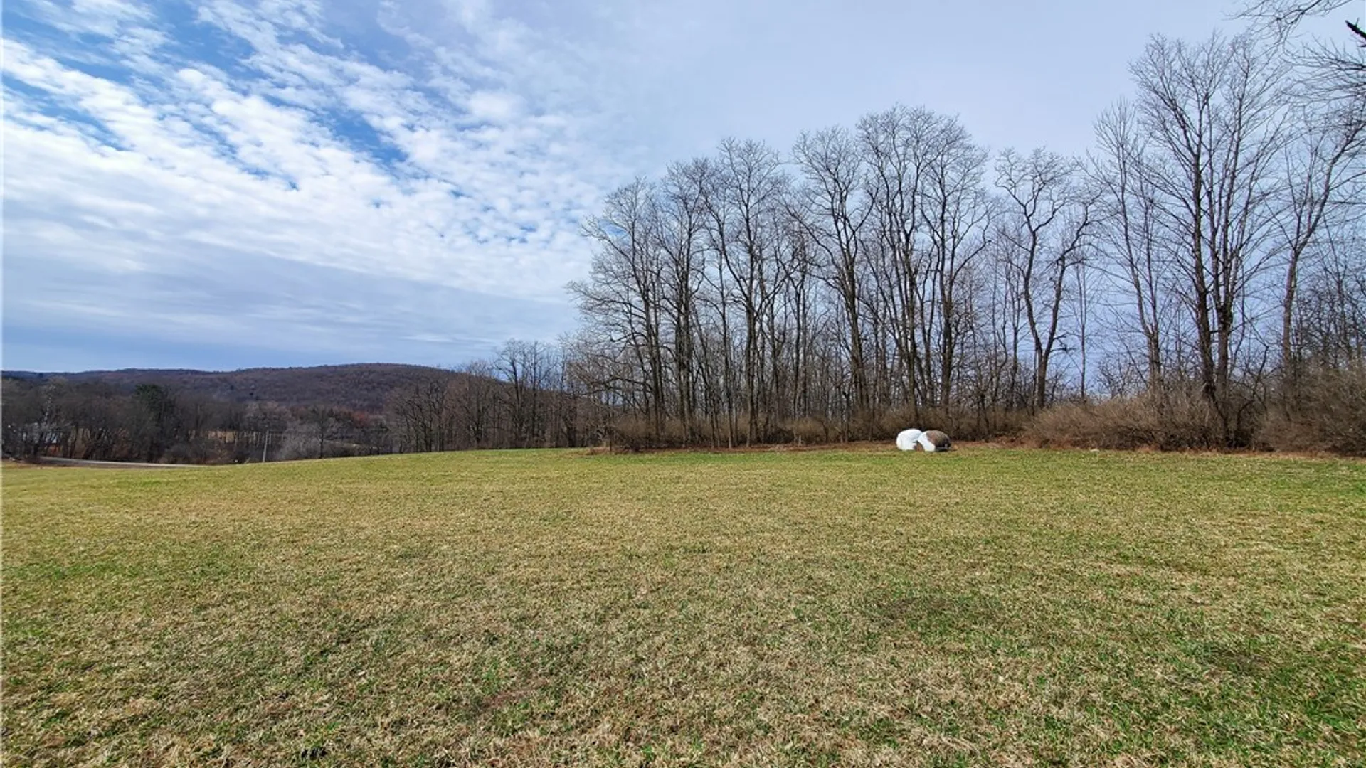 Property at 0 Perkins Road, Hartwick, NY 13348 8