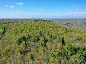 Property at Mill Creek Road, Otego, NY 13825