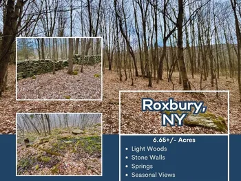 Property at Lot 43 George Lawrence Road, Roxbury, NY 12421