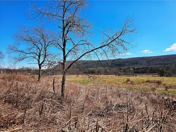 Property at 3214 State Highway 28, Milford, NY 13834
