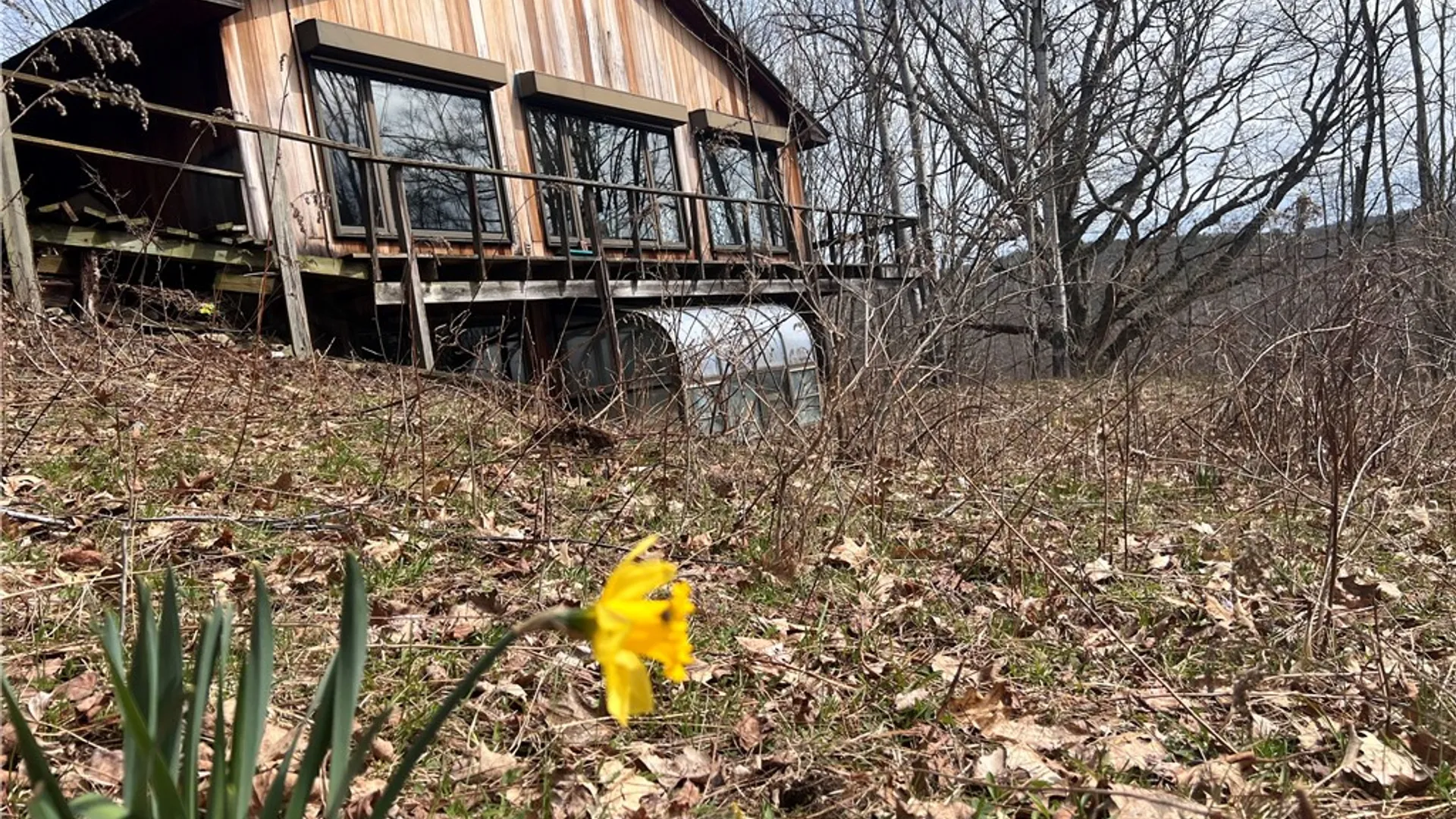 Property at 1972 Monegan Road, Burns, NY 14822 2