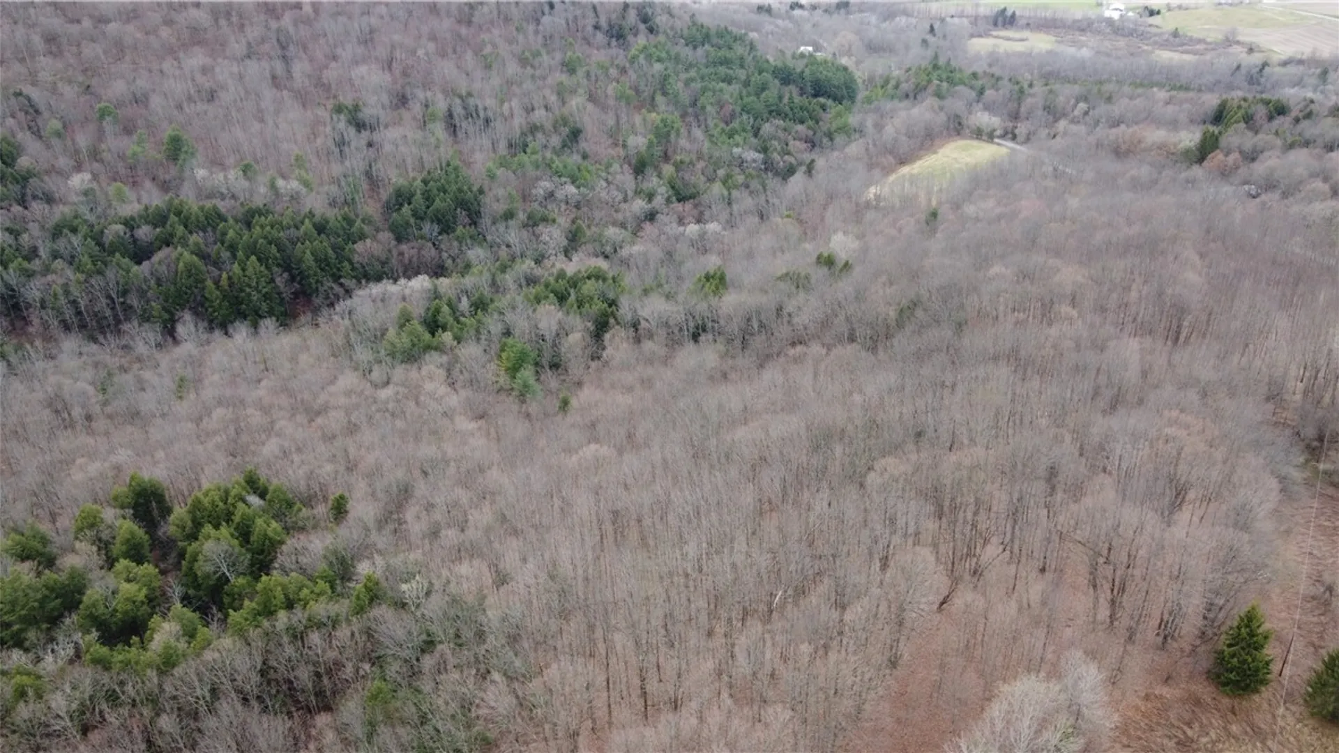 Property at Pritchard Road, Plainfield, NY 13491 10