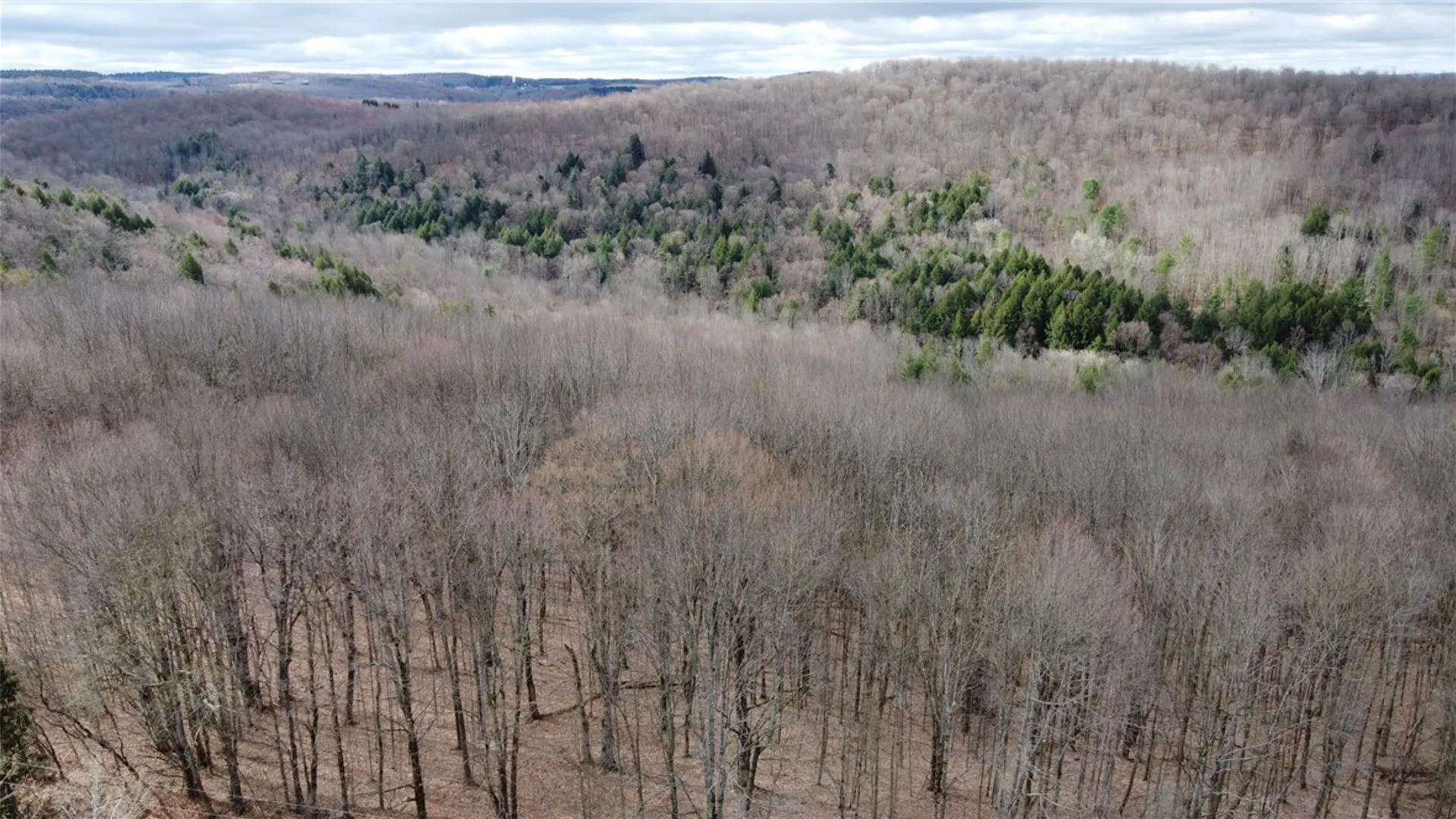 Property at Pritchard Road, Plainfield, NY 13491 11