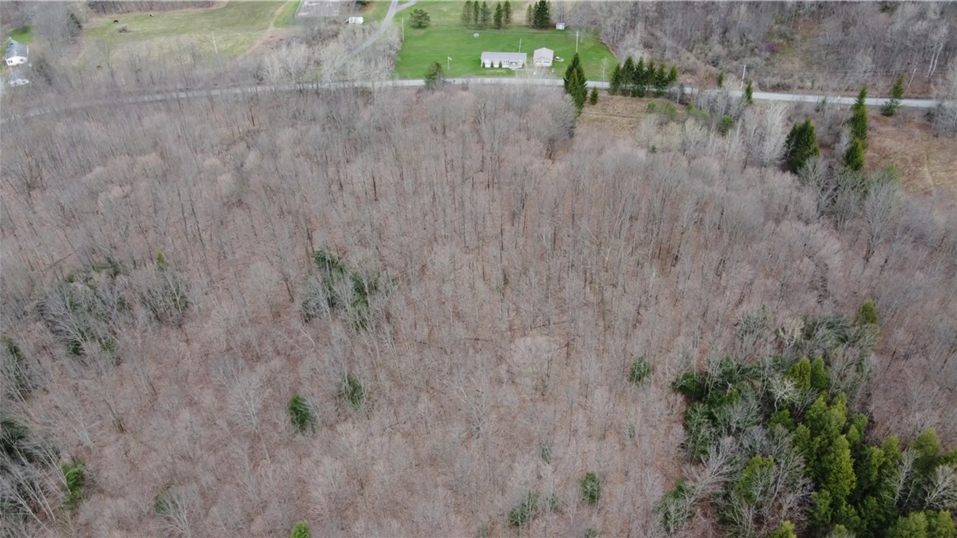 Property at Pritchard Road, Plainfield, NY 13491 12