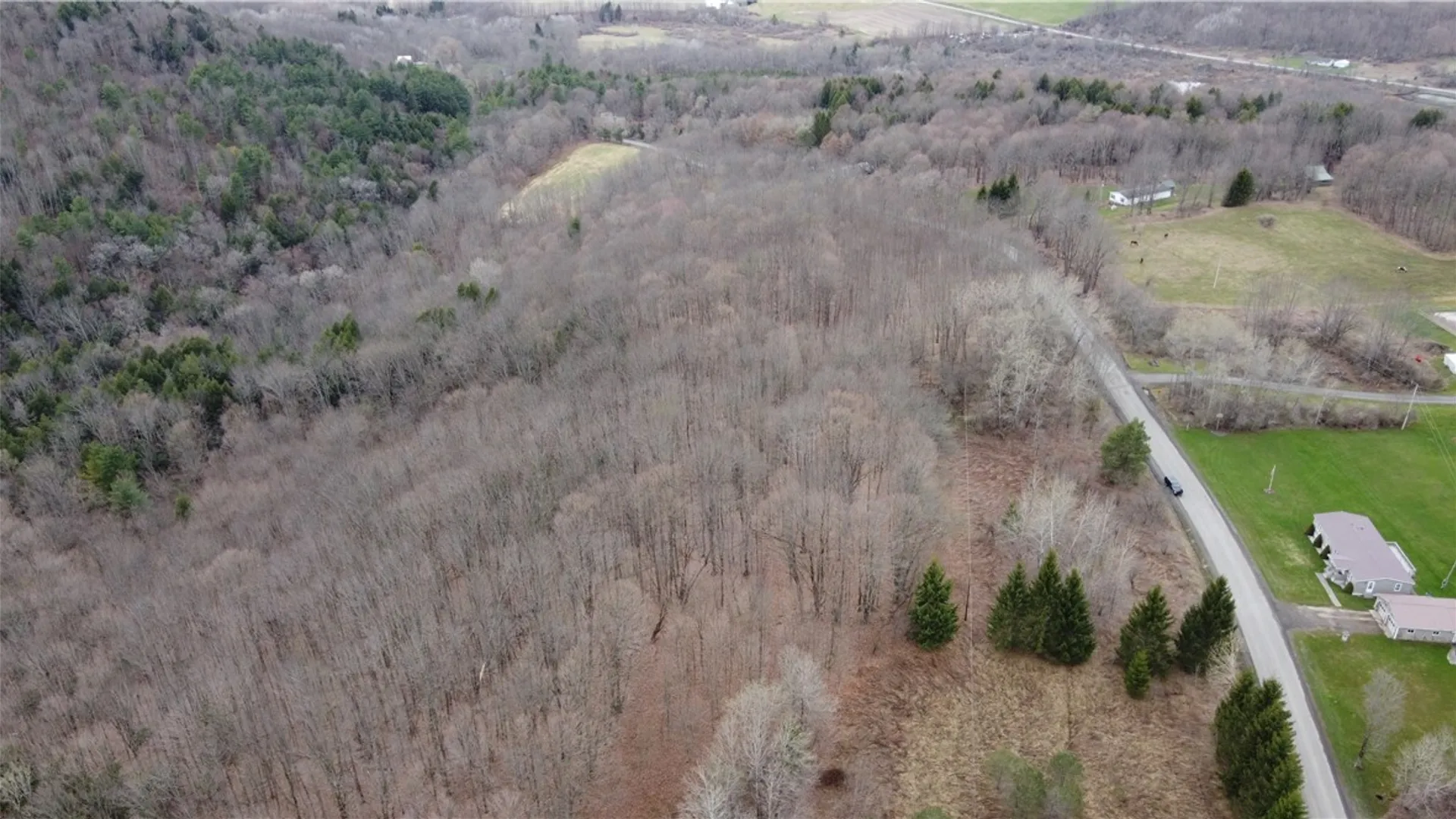 Property at Pritchard Road, Plainfield, NY 13491 13