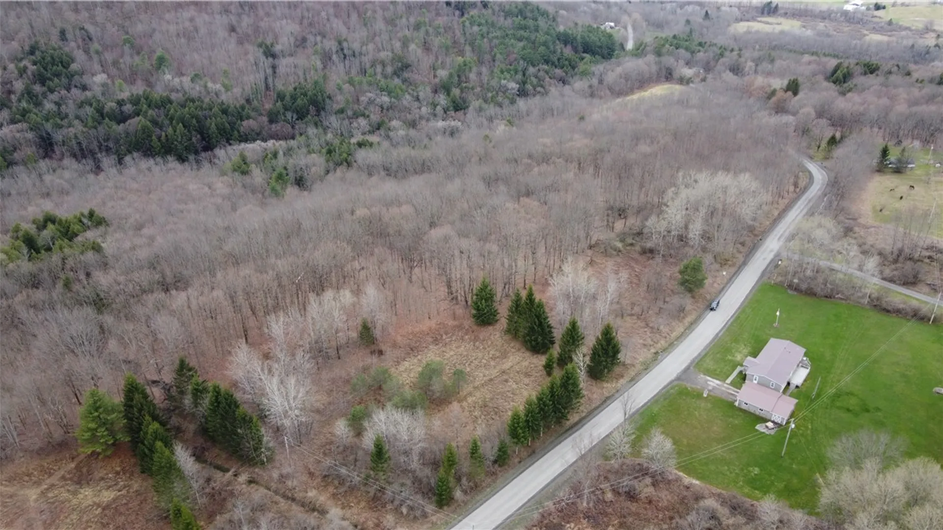 Property at Pritchard Road, Plainfield, NY 13491 14