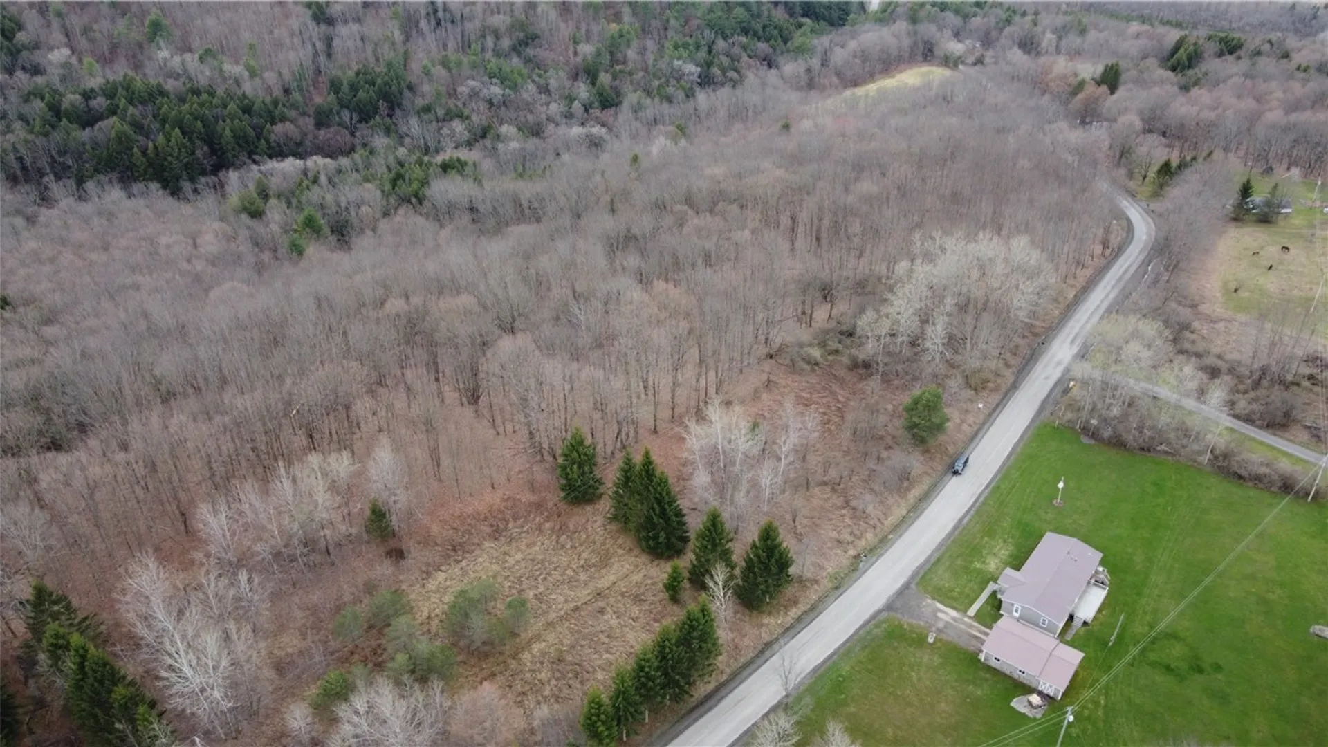 Property at Pritchard Road, Plainfield, NY 13491 15