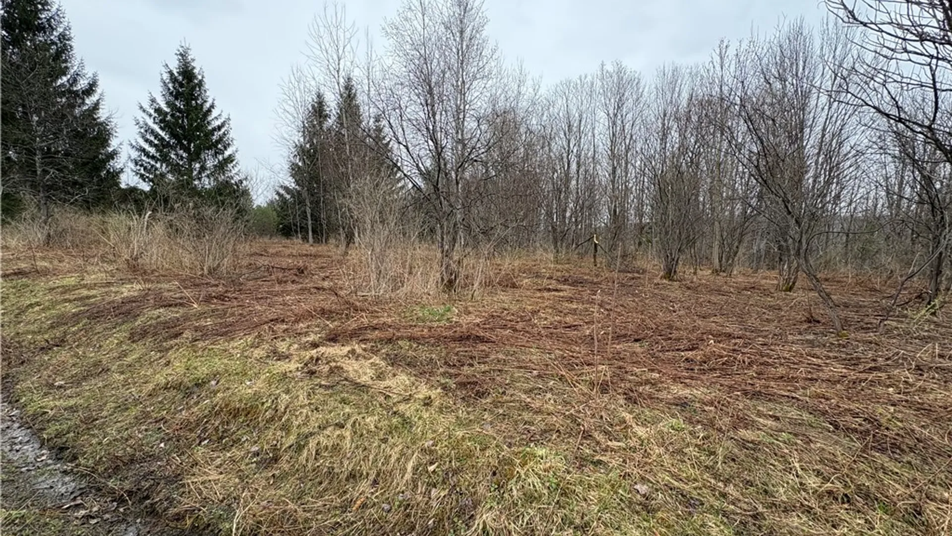 Property at Pritchard Road, Plainfield, NY 13491 17