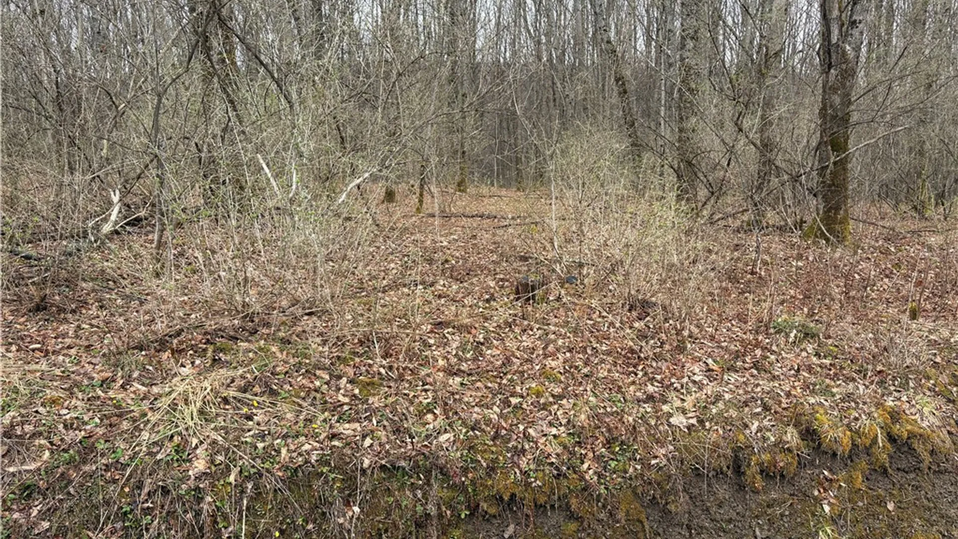 Property at Pritchard Road, Plainfield, NY 13491 18