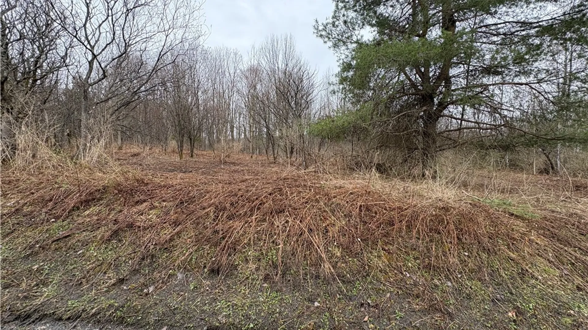 Property at Pritchard Road, Plainfield, NY 13491 19