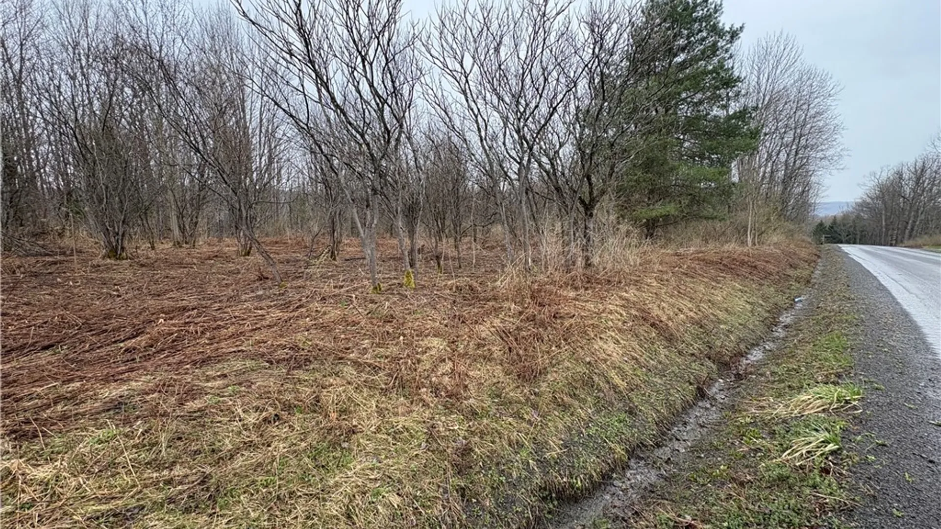 Property at Pritchard Road, Plainfield, NY 13491 20