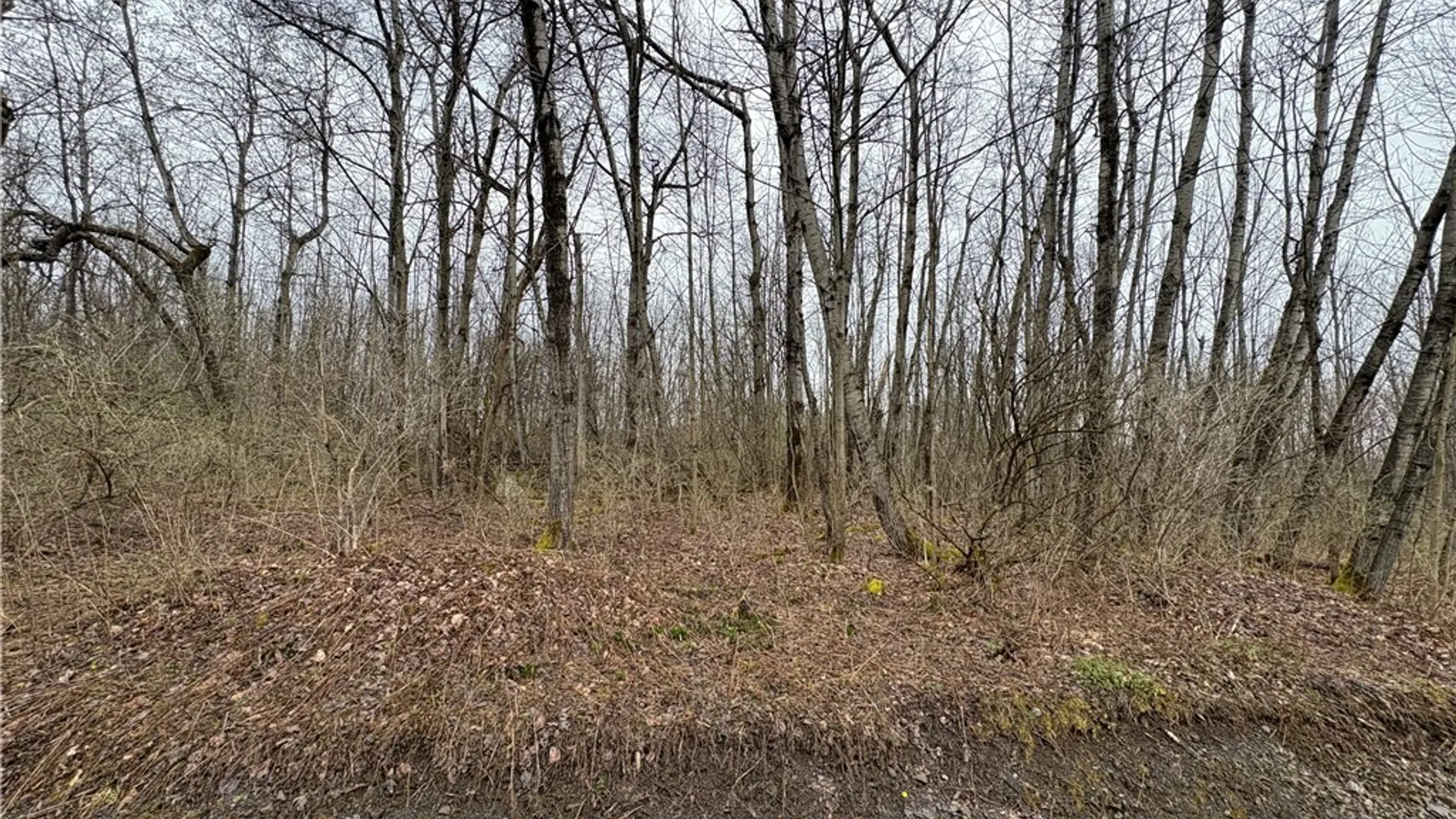 Property at Pritchard Road, Plainfield, NY 13491 21