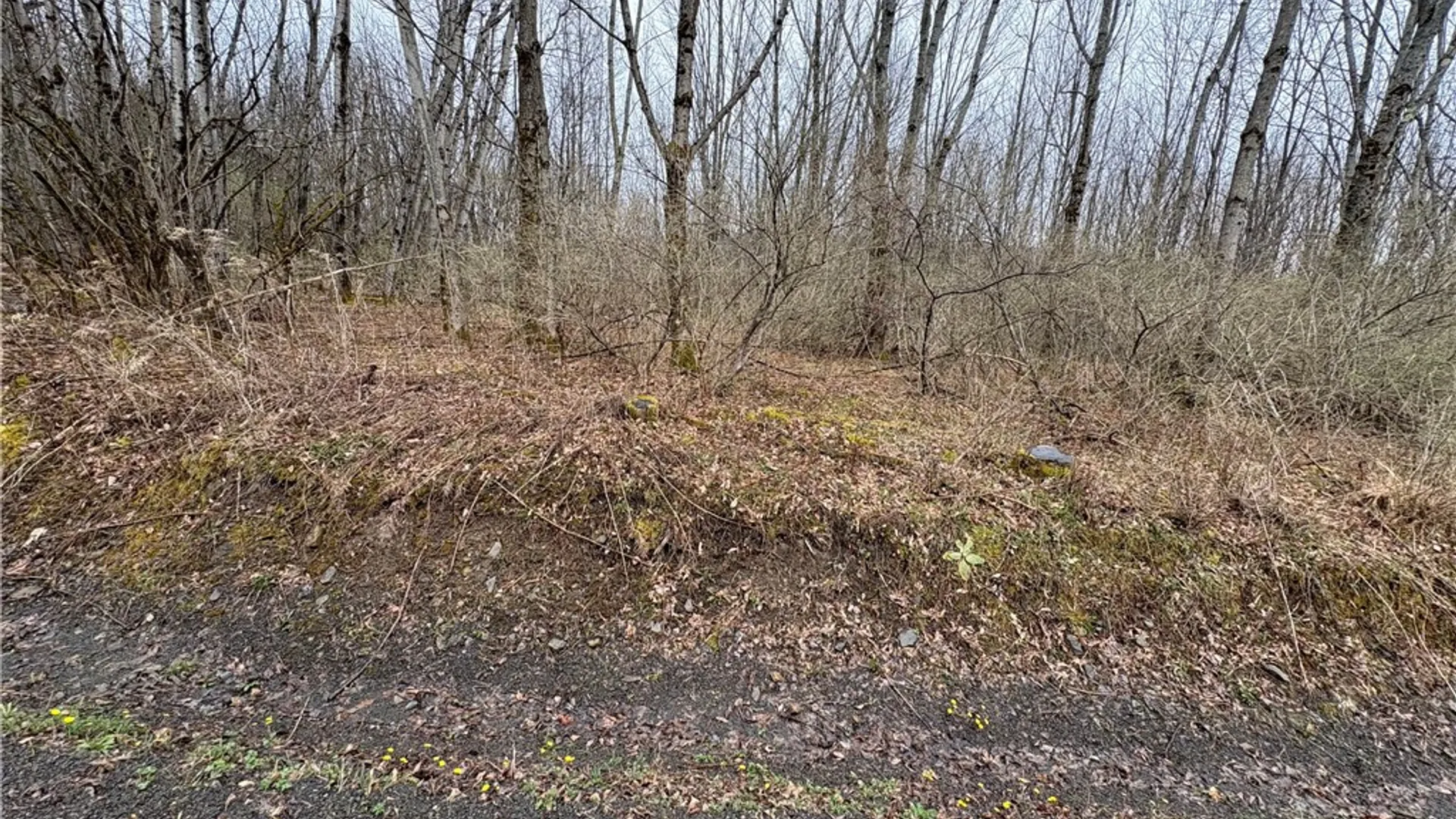 Property at Pritchard Road, Plainfield, NY 13491 23