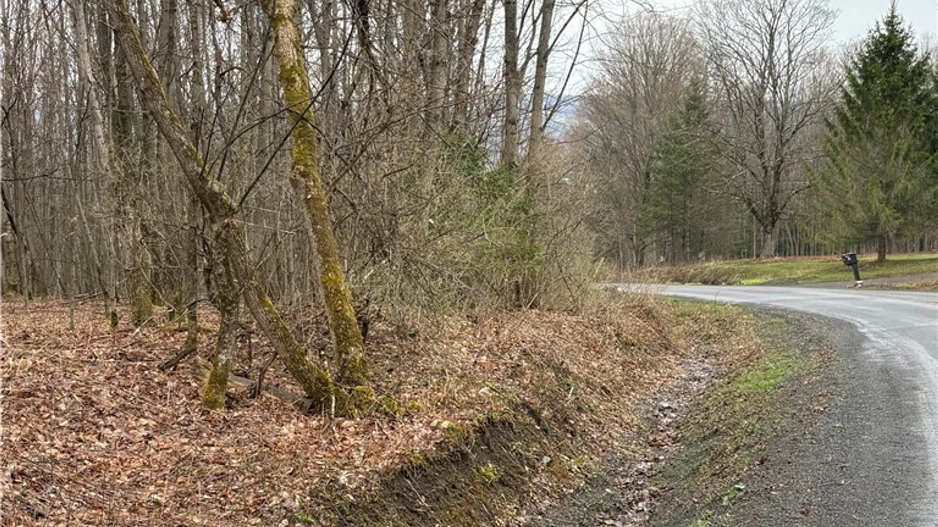 Property at Pritchard Road, Plainfield, NY 13491 24