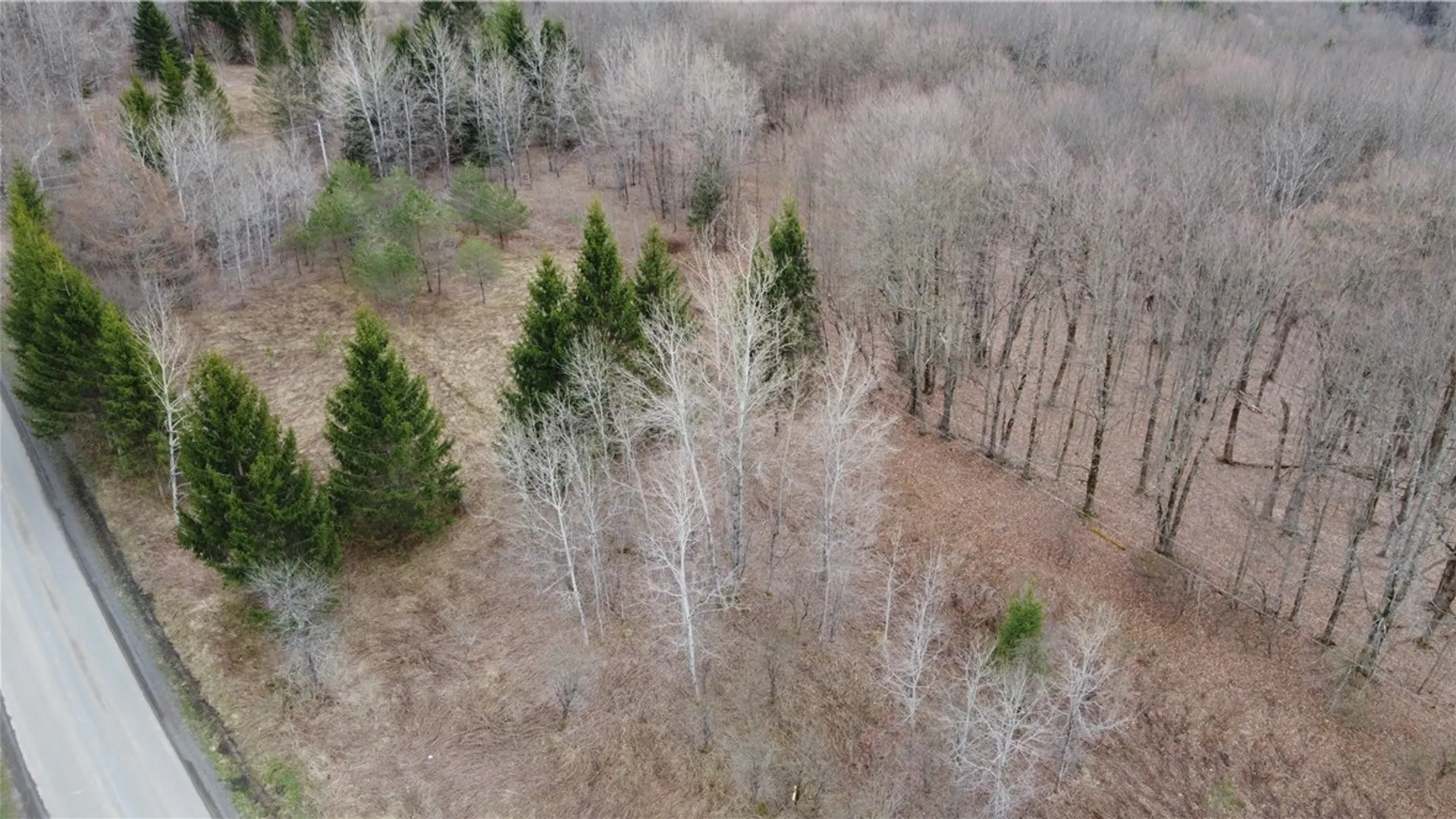 Property at Pritchard Road, Plainfield, NY 13491 5