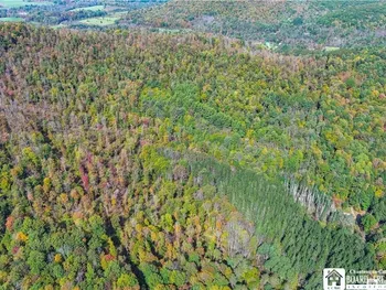 Property at 0 Willow Brook Road, Genesee, NY 14754