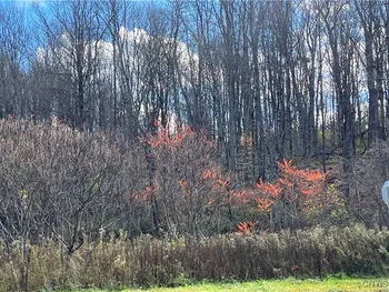 Property at 0000 Nys Route 28, Trenton, NY 13304