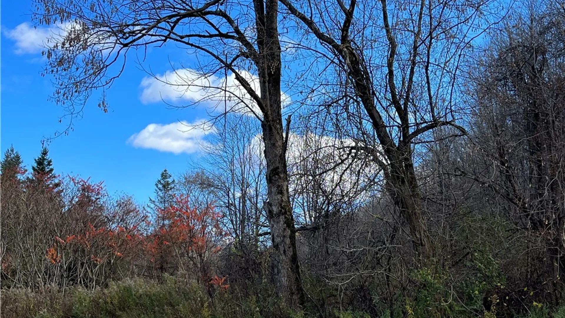 Property at 0000 Nys Route 28, Trenton, NY 13304 2