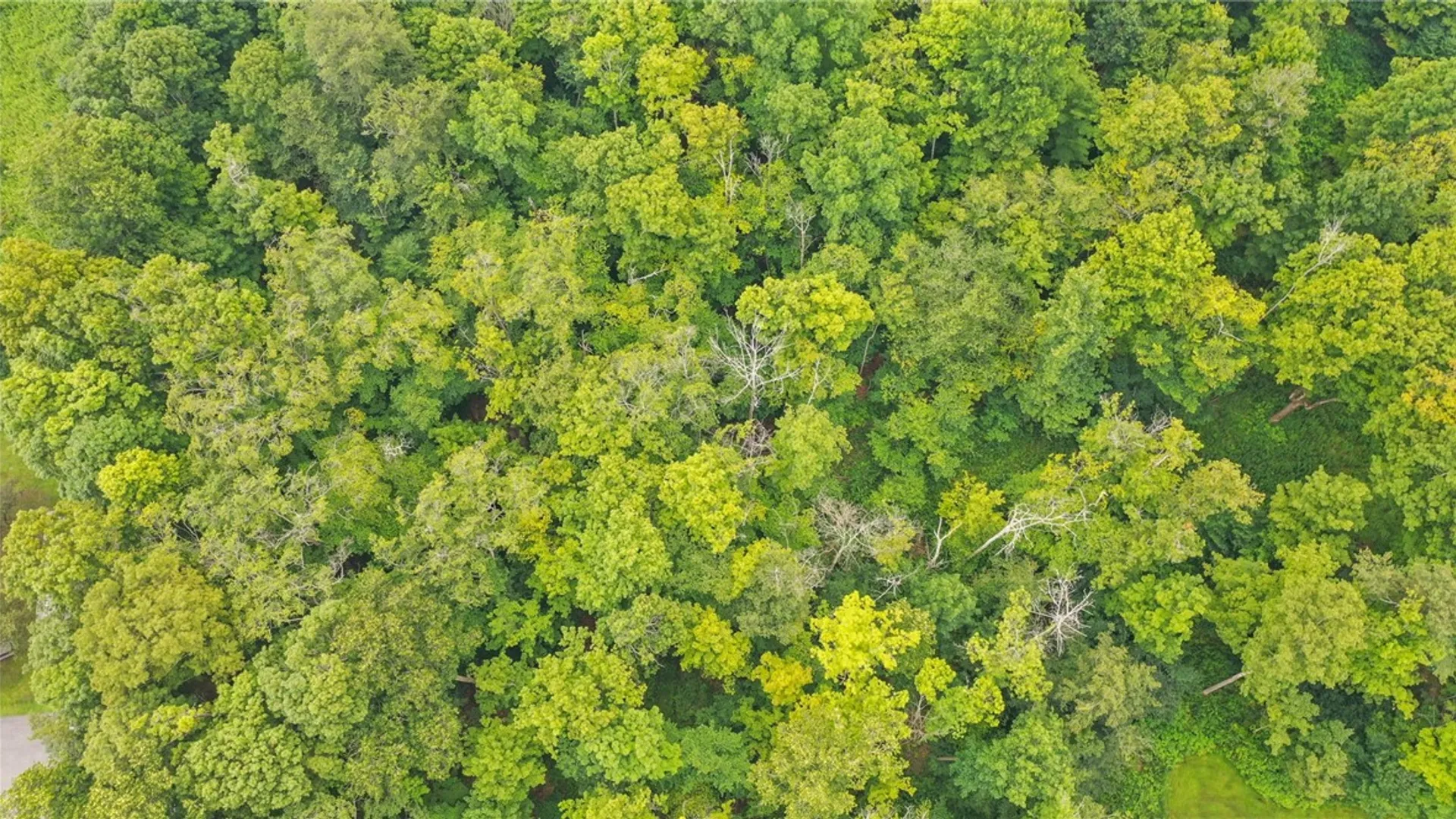 Property at xxx Dryden Road, Dryden, NY 13068 11