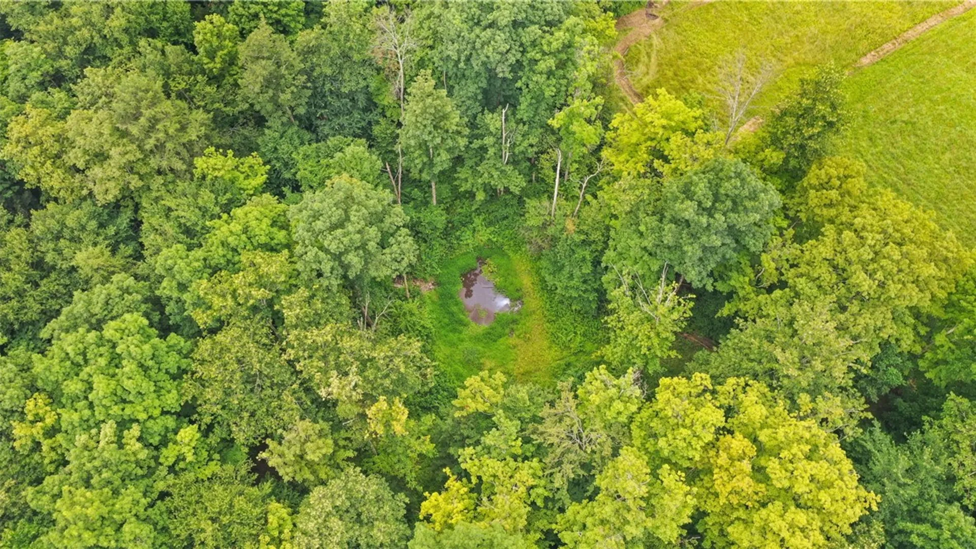 Property at xxx Dryden Road, Dryden, NY 13068 12