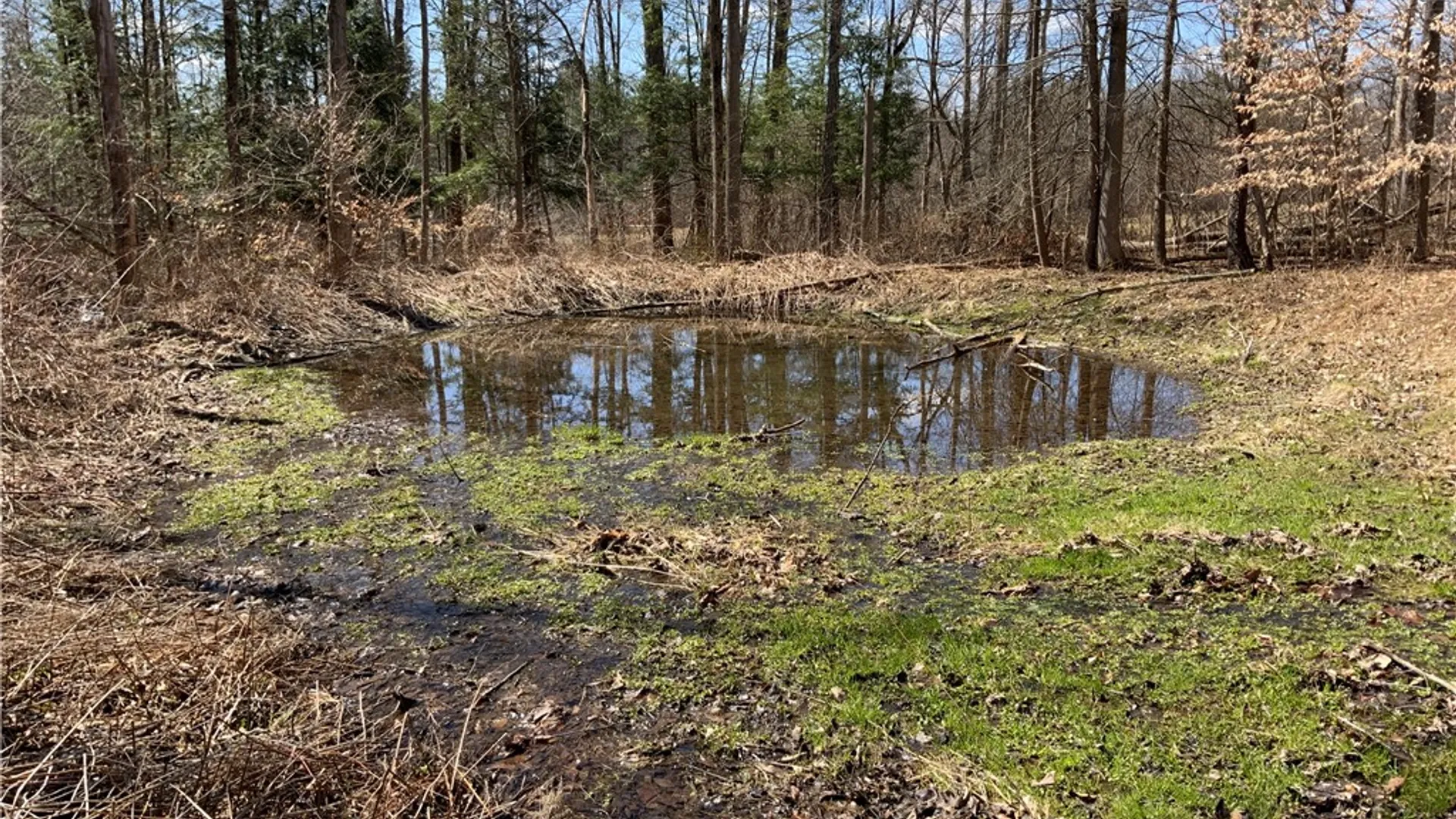 Property at xxx Dryden Road, Dryden, NY 13068 22