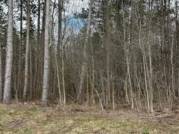 Property at Warner Gulf Road, Sardinia, NY 14080