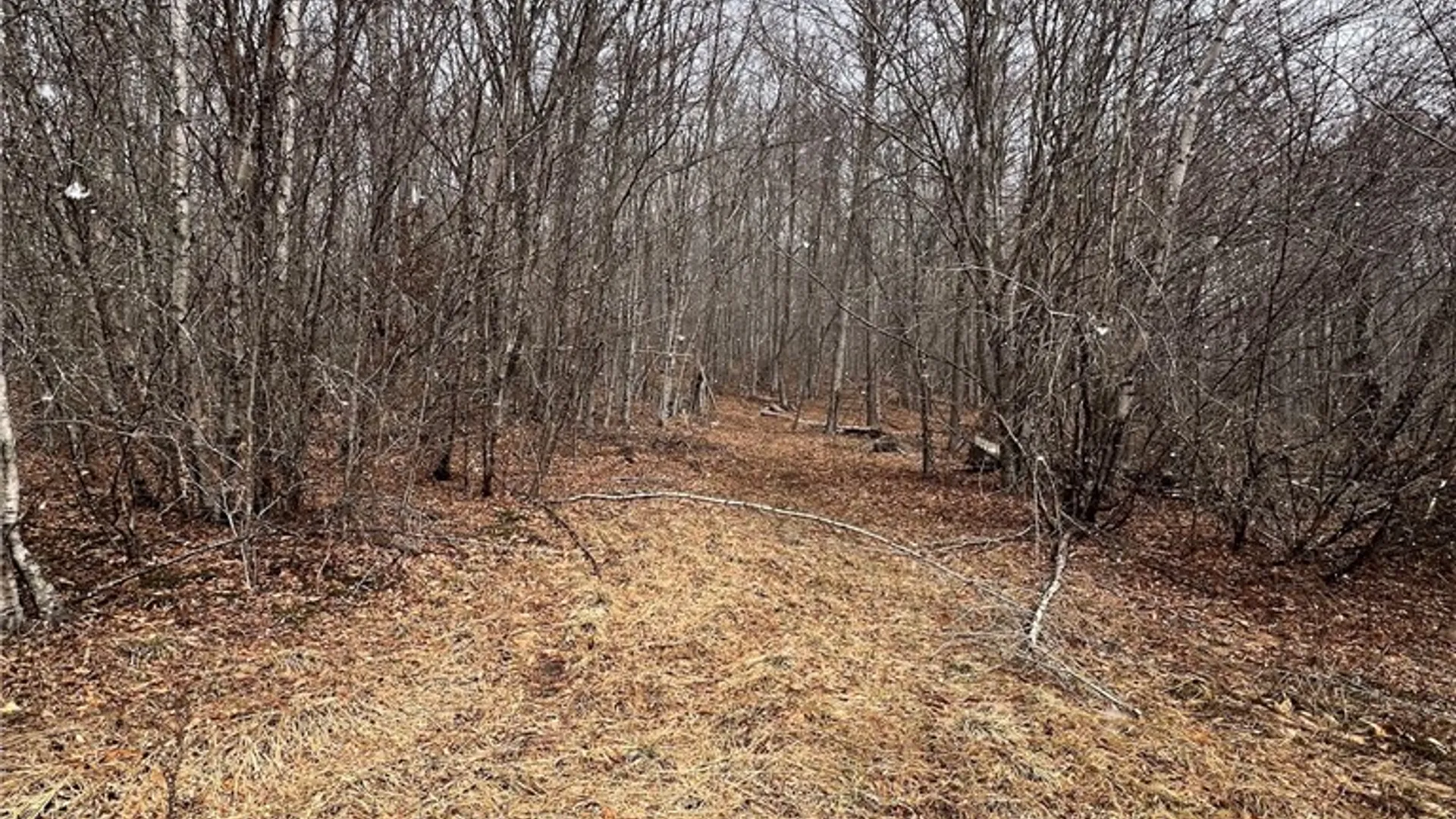 Property at Upper Punchbowl Road, Rockland, NY 12776 10