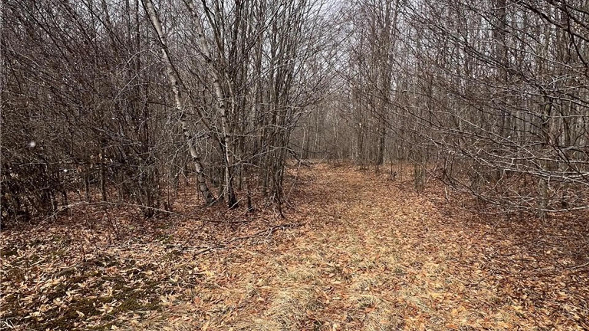 Property at Upper Punchbowl Road, Rockland, NY 12776 13