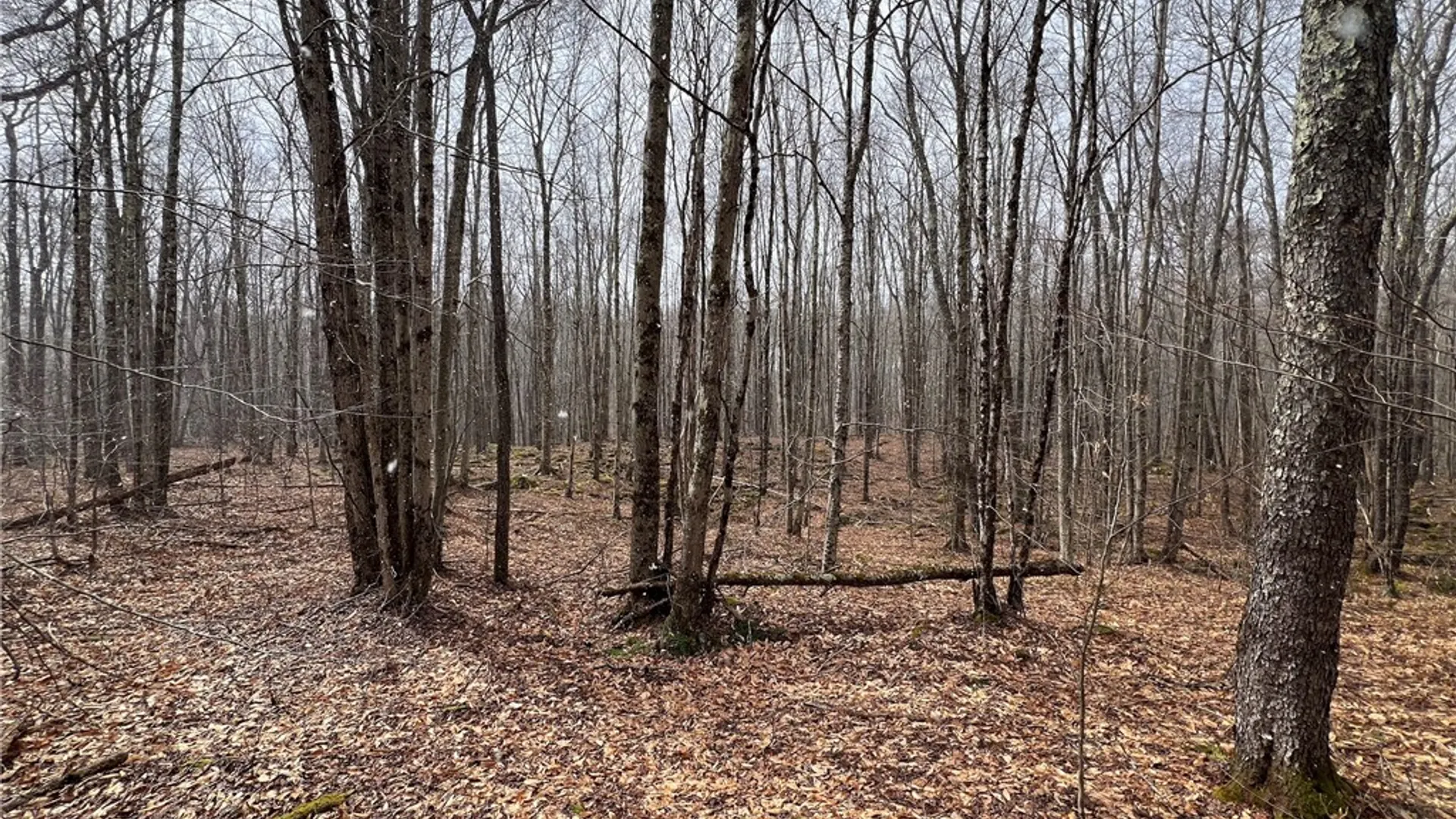 Property at Upper Punchbowl Road, Rockland, NY 12776 18