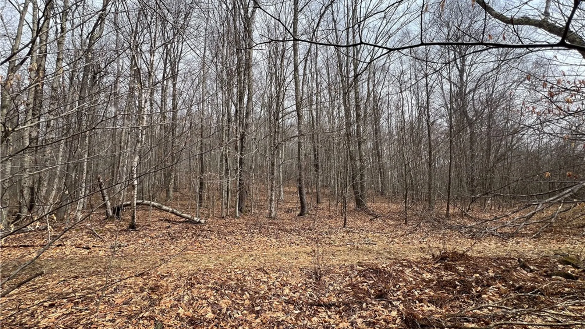 Property at Upper Punchbowl Road, Rockland, NY 12776 20