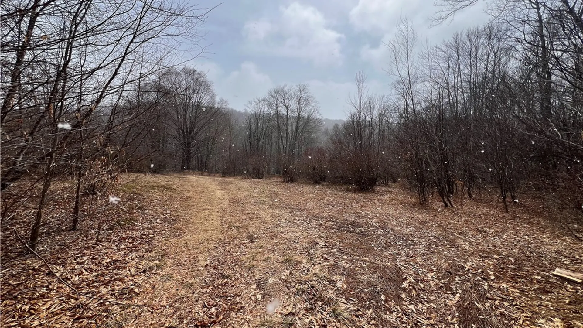 Property at Upper Punchbowl Road, Rockland, NY 12776 21