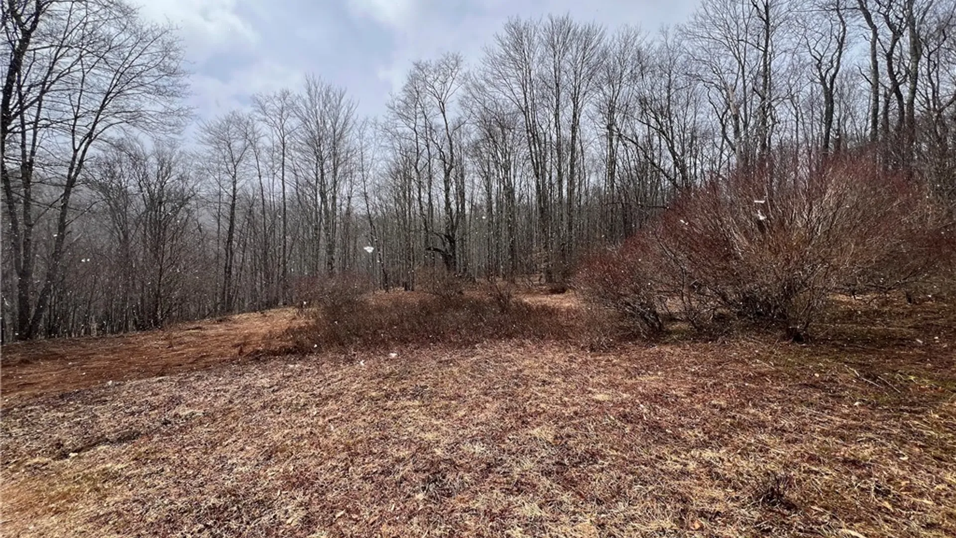 Property at Upper Punchbowl Road, Rockland, NY 12776 23