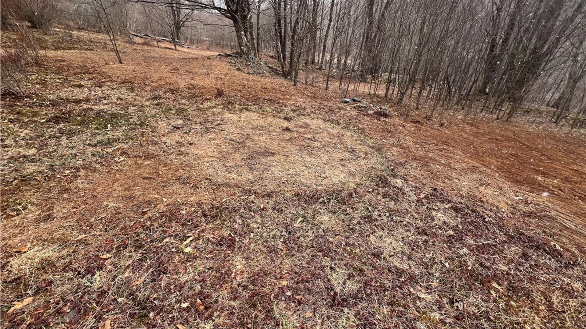 Property at Upper Punchbowl Road, Rockland, NY 12776 24