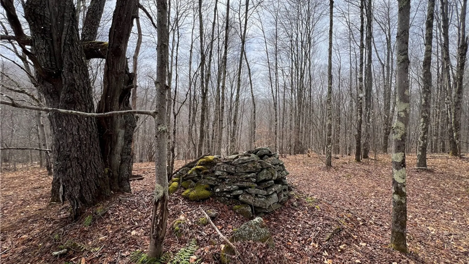 Property at Upper Punchbowl Road, Rockland, NY 12776 25