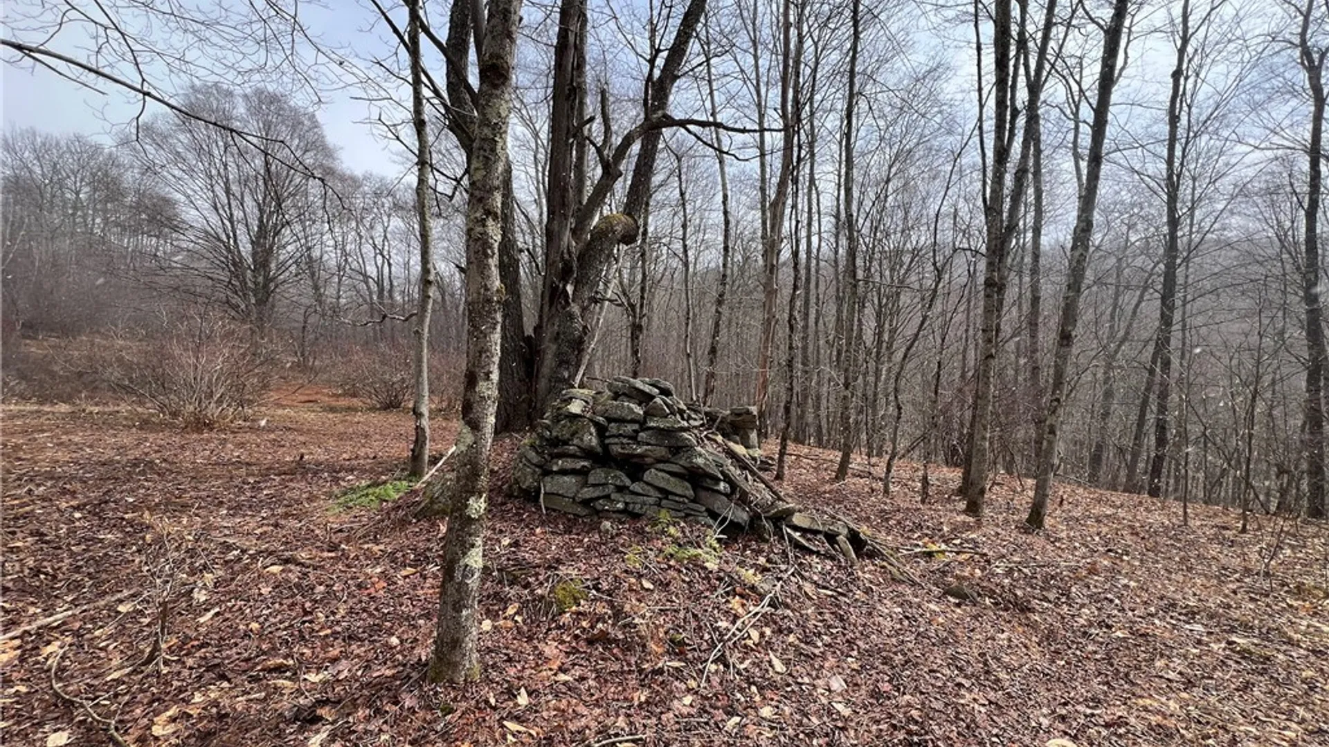 Property at Upper Punchbowl Road, Rockland, NY 12776 26