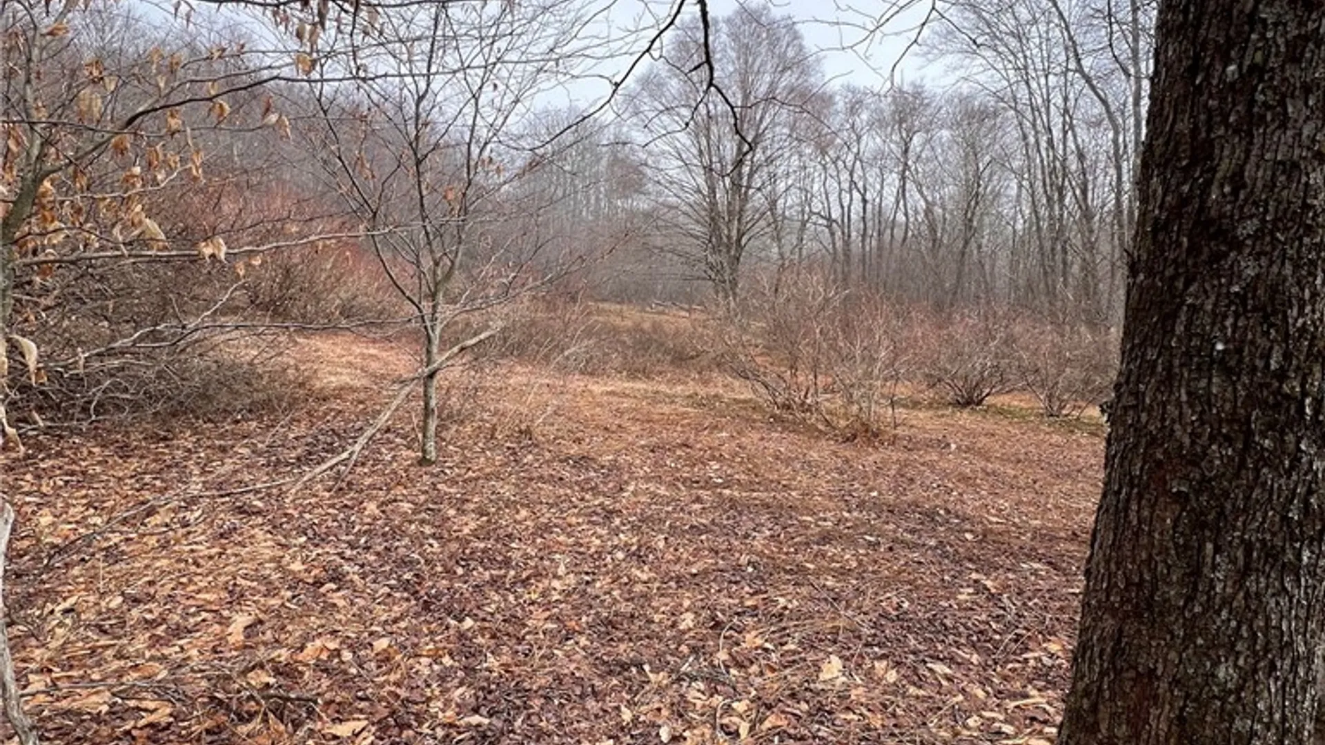 Property at Upper Punchbowl Road, Rockland, NY 12776 29