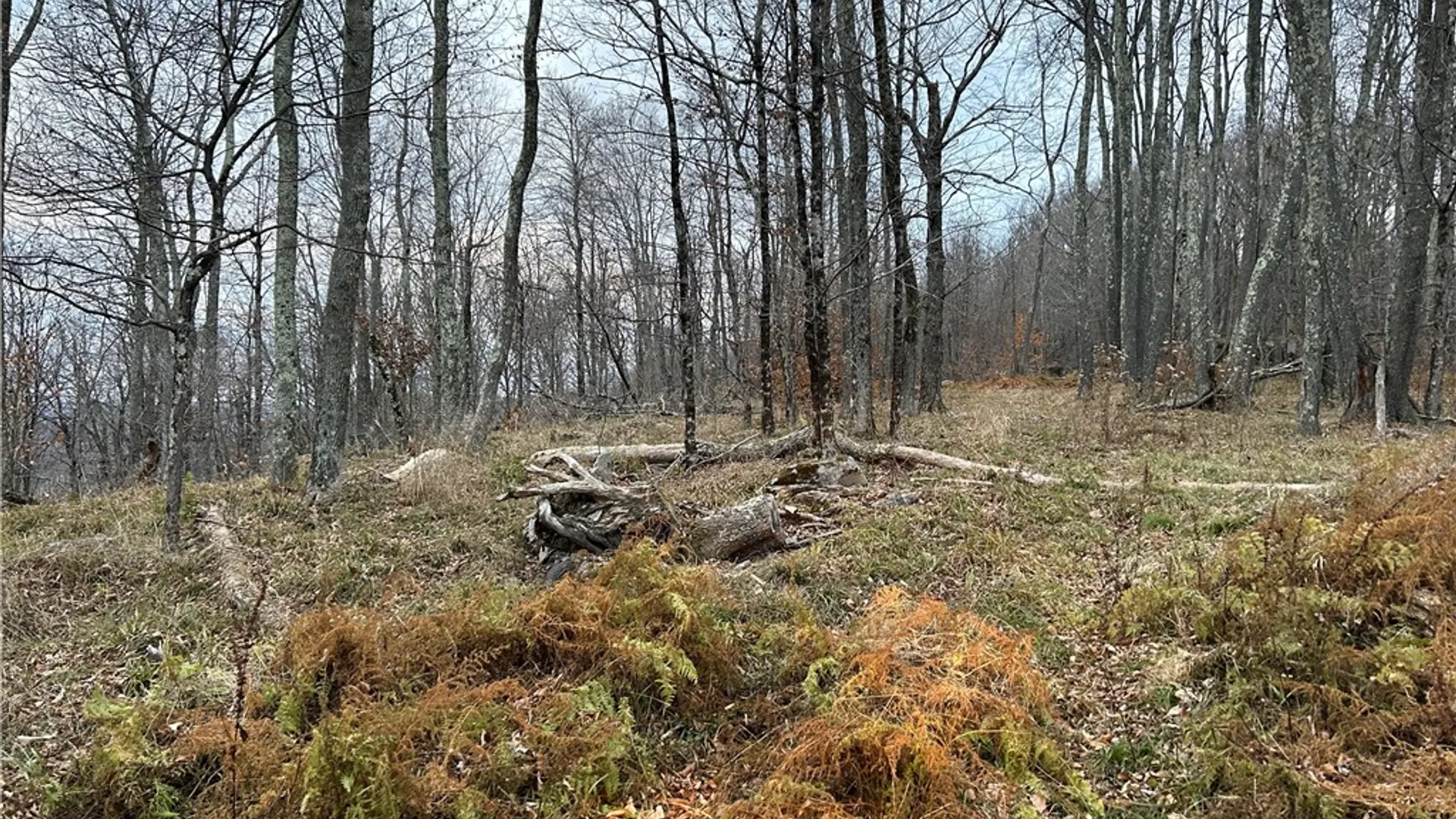 Property at Upper Punchbowl Road, Rockland, NY 12776 3