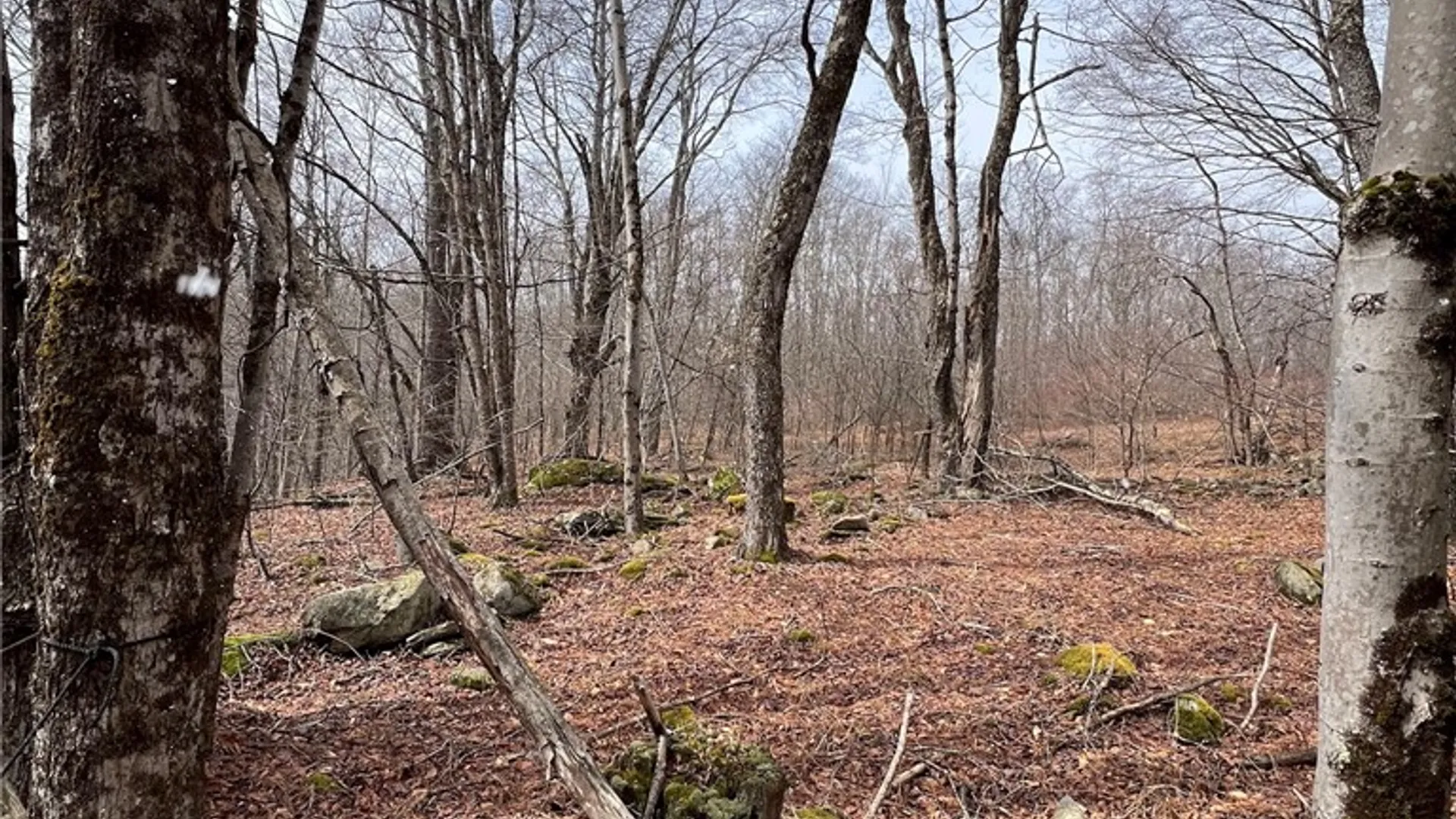 Property at Upper Punchbowl Road, Rockland, NY 12776 34