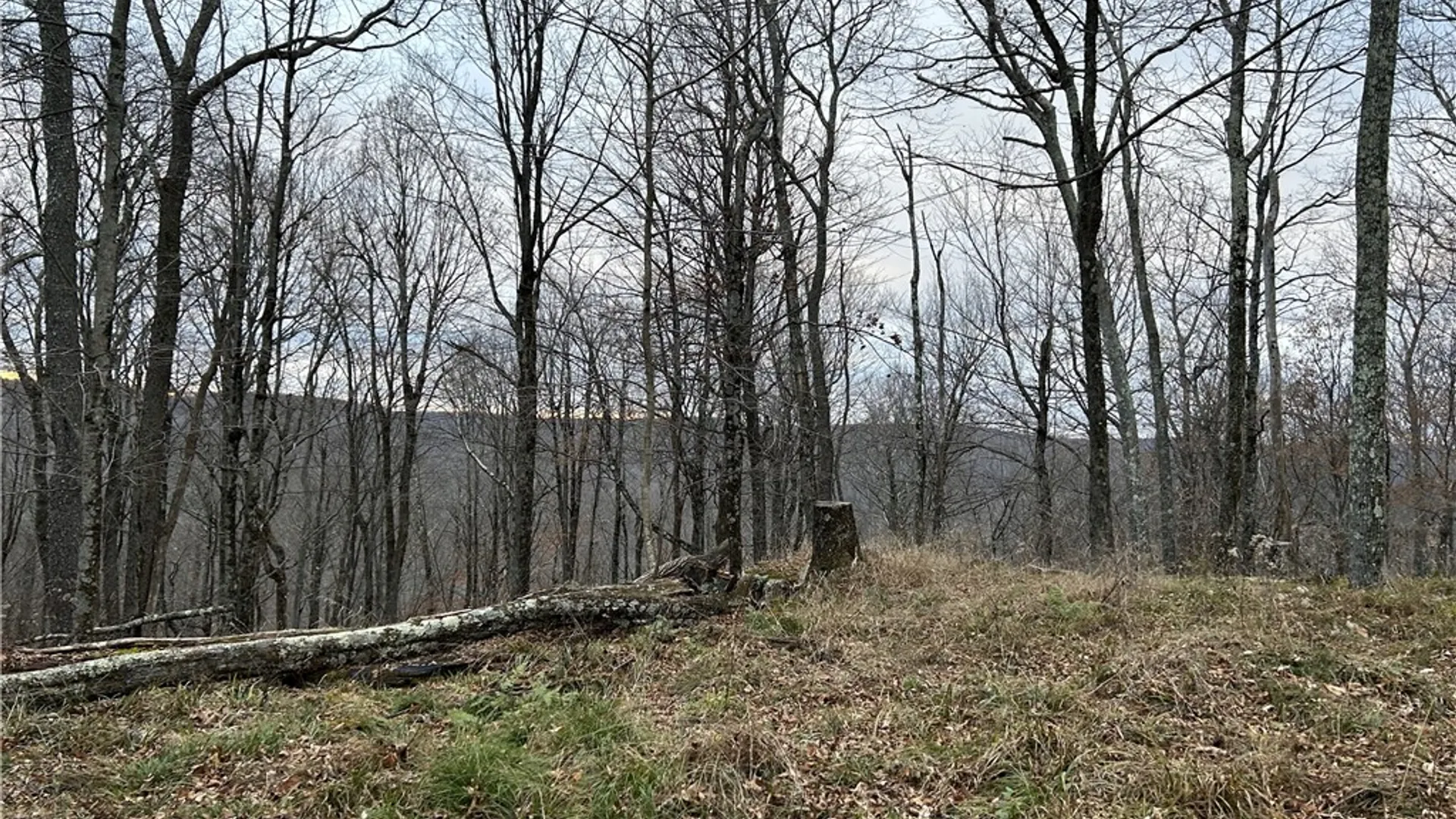 Property at Upper Punchbowl Road, Rockland, NY 12776 4