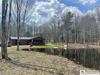 Property at 10372 Rt 242 (off), Napoli, NY 14772
